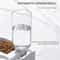 Automatic Pet Water And Food Bowl Dual Use Moisture Proof Feeding And Drinking Station For Cats And 4