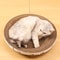 Durable Cat Scratch Board Corrugated Cardboard Cat Scratcher Lounge For Indoor Cats 3