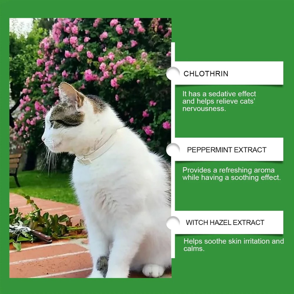 Plug In Cat Calming Diffuser Pheromone Relaxant For Anxiety Relief And Stress Support 9