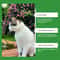 Plug In Cat Calming Diffuser Pheromone Relaxant For Anxiety Relief And Stress Support 9