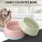 Candy Color Pet Food Bowl Lightweight Plastic Feeding Bowl For Cats And Small Dogs 7