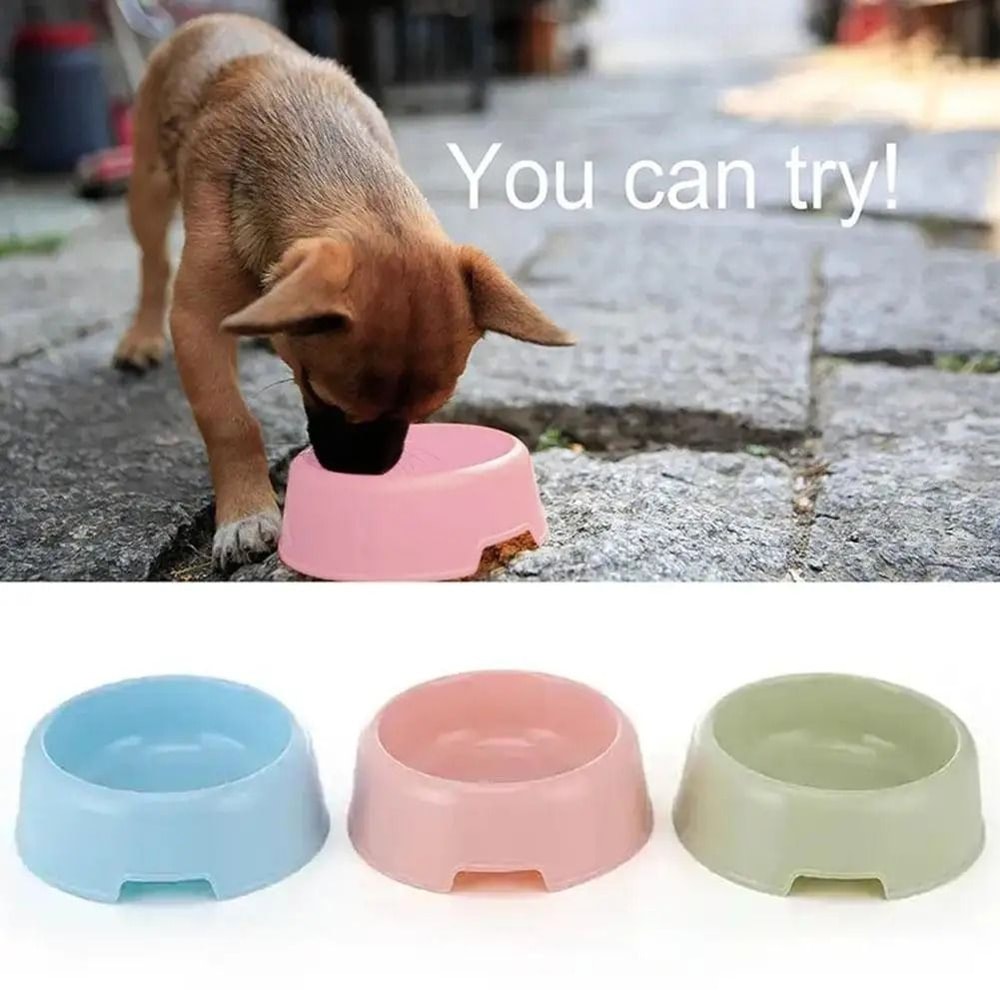 Candy Color Pet Food Bowl Lightweight Plastic Feeding Bowl For Cats And Small Dogs 8