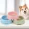 Candy Color Pet Food Bowl Lightweight Plastic Feeding Bowl For Cats And Small Dogs 0