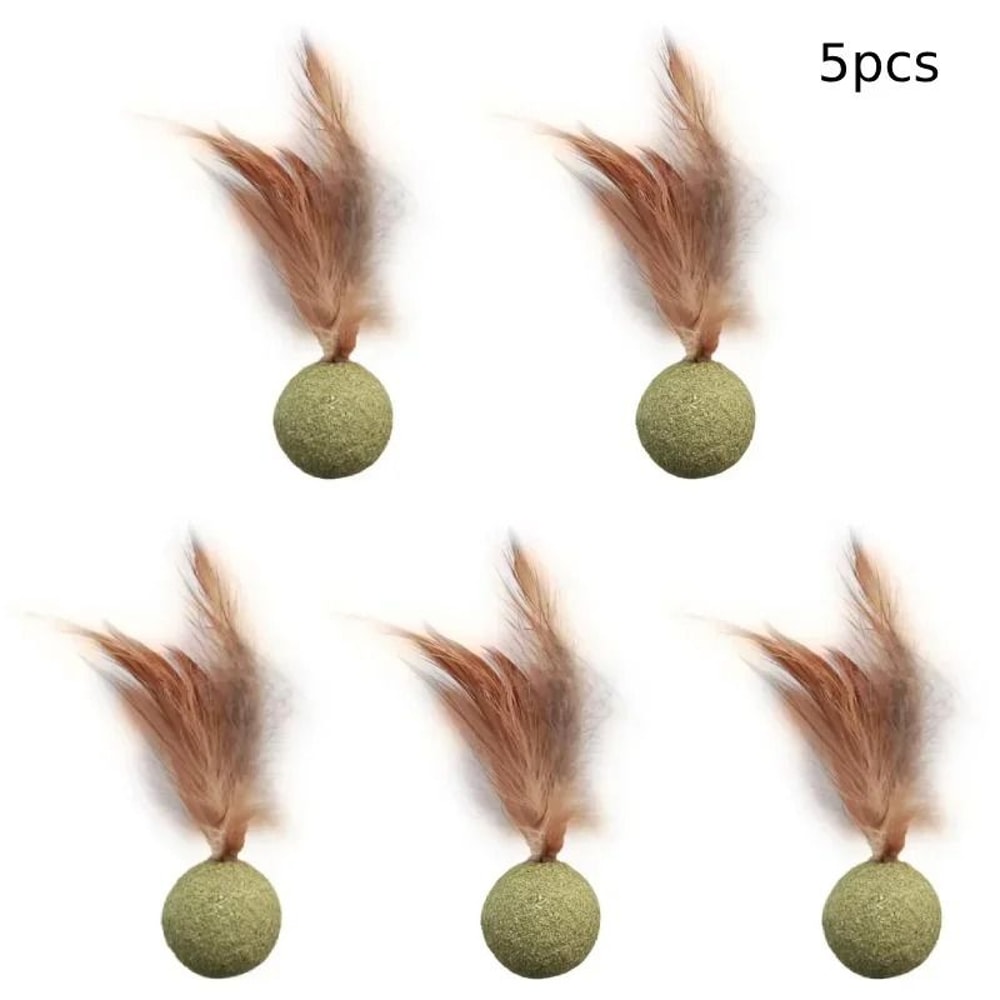 Healthy Catnip Ball Toy Edible Cat Mint Chew Toy For Teeth Cleaning And Interactive Play 4