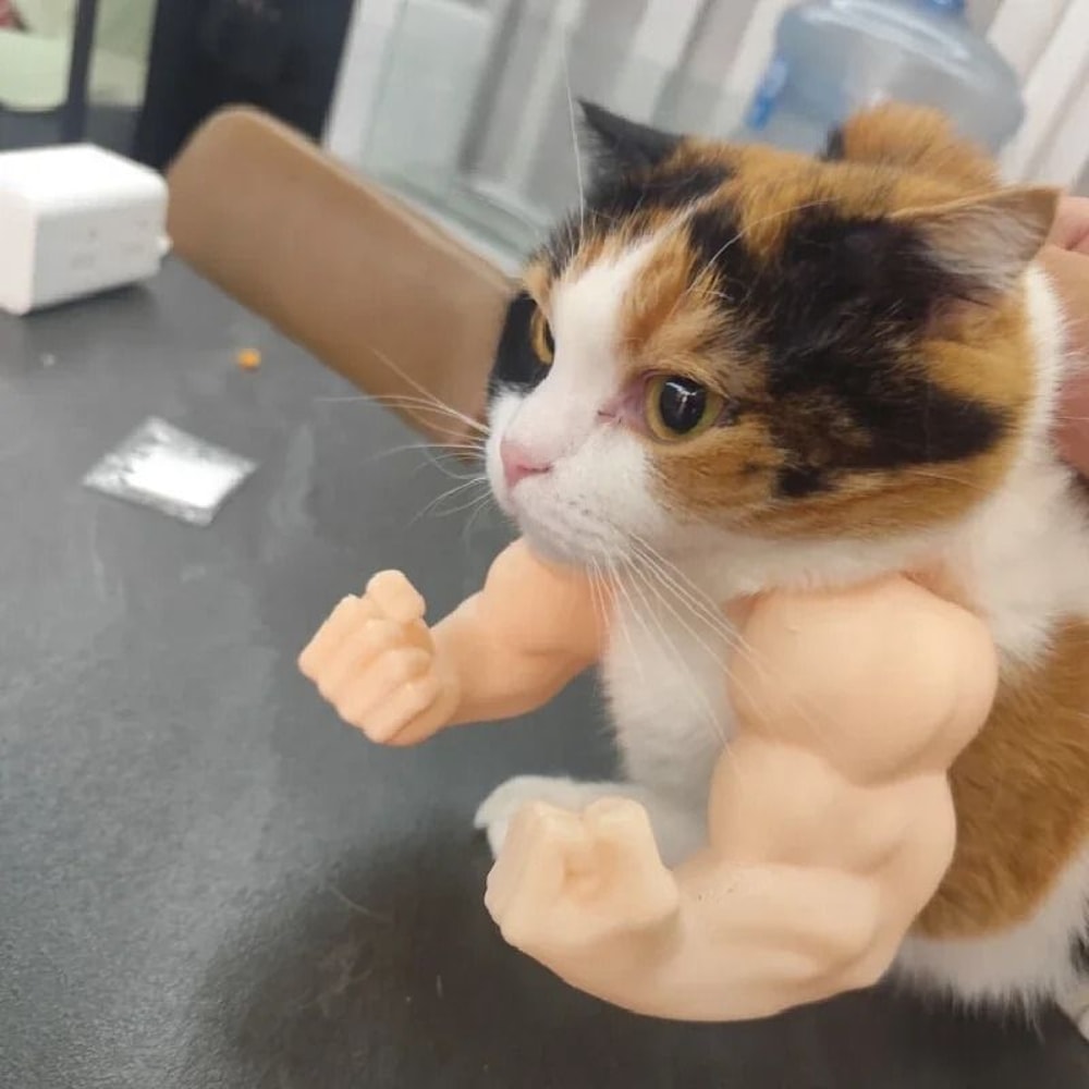 Cat Muscle Arm Pendant Pet Cat Fist Necklace Toy For Show Cats And Collectors 10
