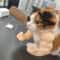 Cat Muscle Arm Pendant Pet Cat Fist Necklace Toy For Show Cats And Collectors 10