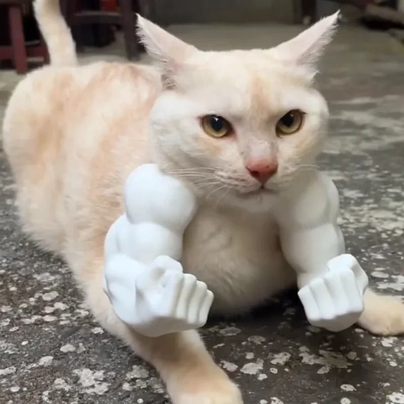 Cat Muscle Arm Pendant Pet Cat Fist Necklace Toy For Show Cats And Collectors 9