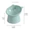 Elevated Tilted Pet Food Bowl For Cats And Dogs 6