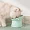 Elevated Tilted Pet Food Bowl For Cats And Dogs 7