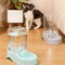 Large Capacity Automatic Pet Feeder And Water Dispenser Set 2
