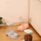 Large Capacity Automatic Pet Feeder And Water Dispenser Set 3