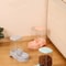 Large Capacity Automatic Pet Feeder And Water Dispenser Set 3