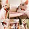 Adjustable Mesh Pet Harness Vest And Leash Set For Cats And Small Dogs 13
