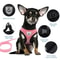 Adjustable Mesh Pet Harness Vest And Leash Set For Cats And Small Dogs 14