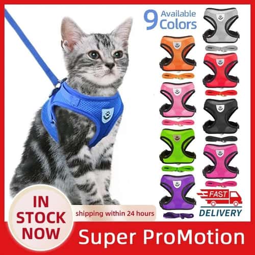 Adjustable Mesh Pet Harness Vest and Leash Set for Cats and Small Dogs