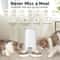 ROJECO Smart Automatic Double Pet Feeder With WiFi Control 6