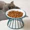 Whisker Friendly Ceramic Cat Bowl With Anti Tip Stand 10