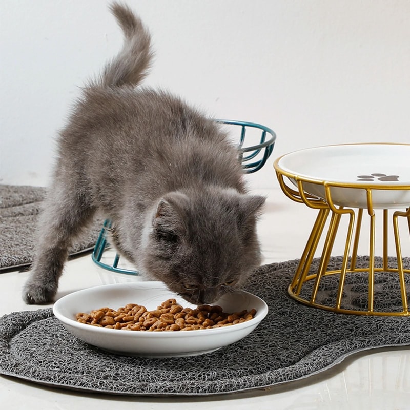 Whisker Friendly Ceramic Cat Bowl With Anti Tip Stand 9