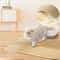 Waterproof Double Layer Cat Litter Trapping Mat 0