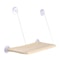Sunny Window Hanging Cat Hammock Bed With Climbing Frame Support 1