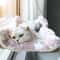 Sunny Window Hanging Cat Hammock Bed With Climbing Frame Support 4