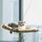 Sunny Window Hanging Cat Hammock Bed With Climbing Frame Support 5