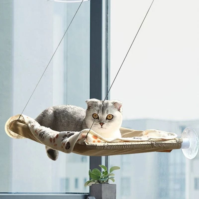 Sunny Window Hanging Cat Hammock Bed With Climbing Frame Support 5