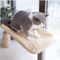 Sunny Window Hanging Cat Hammock Bed With Climbing Frame Support 6