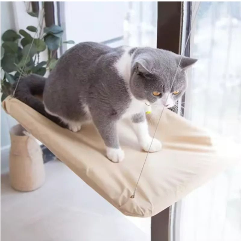 Sunny Window Hanging Cat Hammock Bed With Climbing Frame Support 6