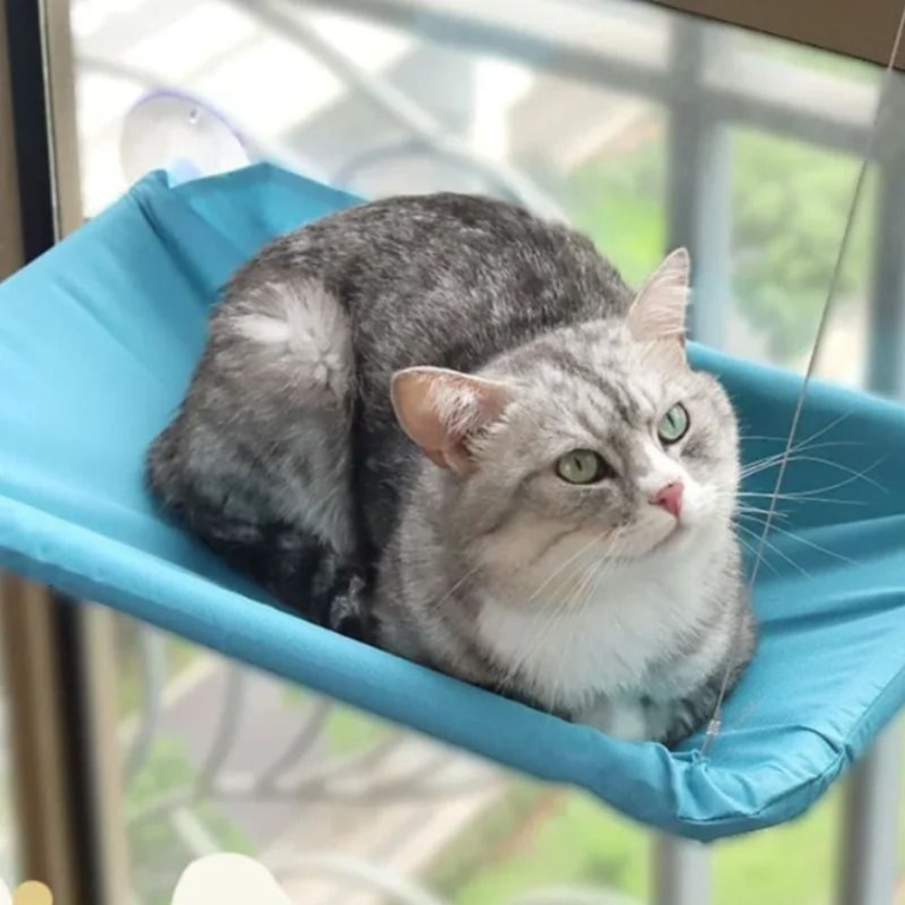 Sunny Window Hanging Cat Hammock Bed With Climbing Frame Support 8