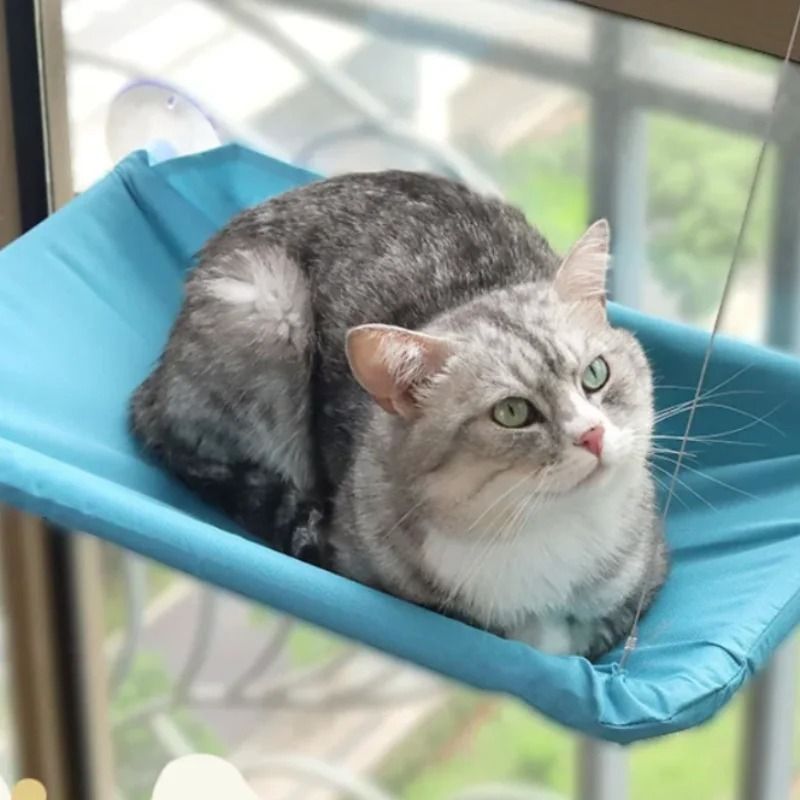 Sunny Window Hanging Cat Hammock Bed With Climbing Frame Support 8