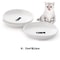 Anti Tip Porcelain Cat Food Bowl With Silicone Base 6