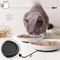 Anti Tip Porcelain Cat Food Bowl With Silicone Base 9