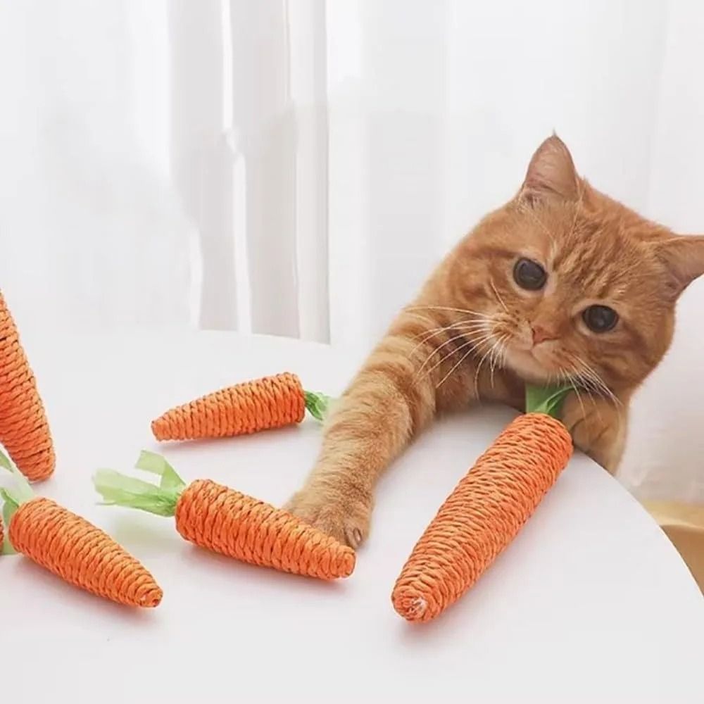 Self Grooming Cat Corner Scratcher Massage Comb With Catnip 12