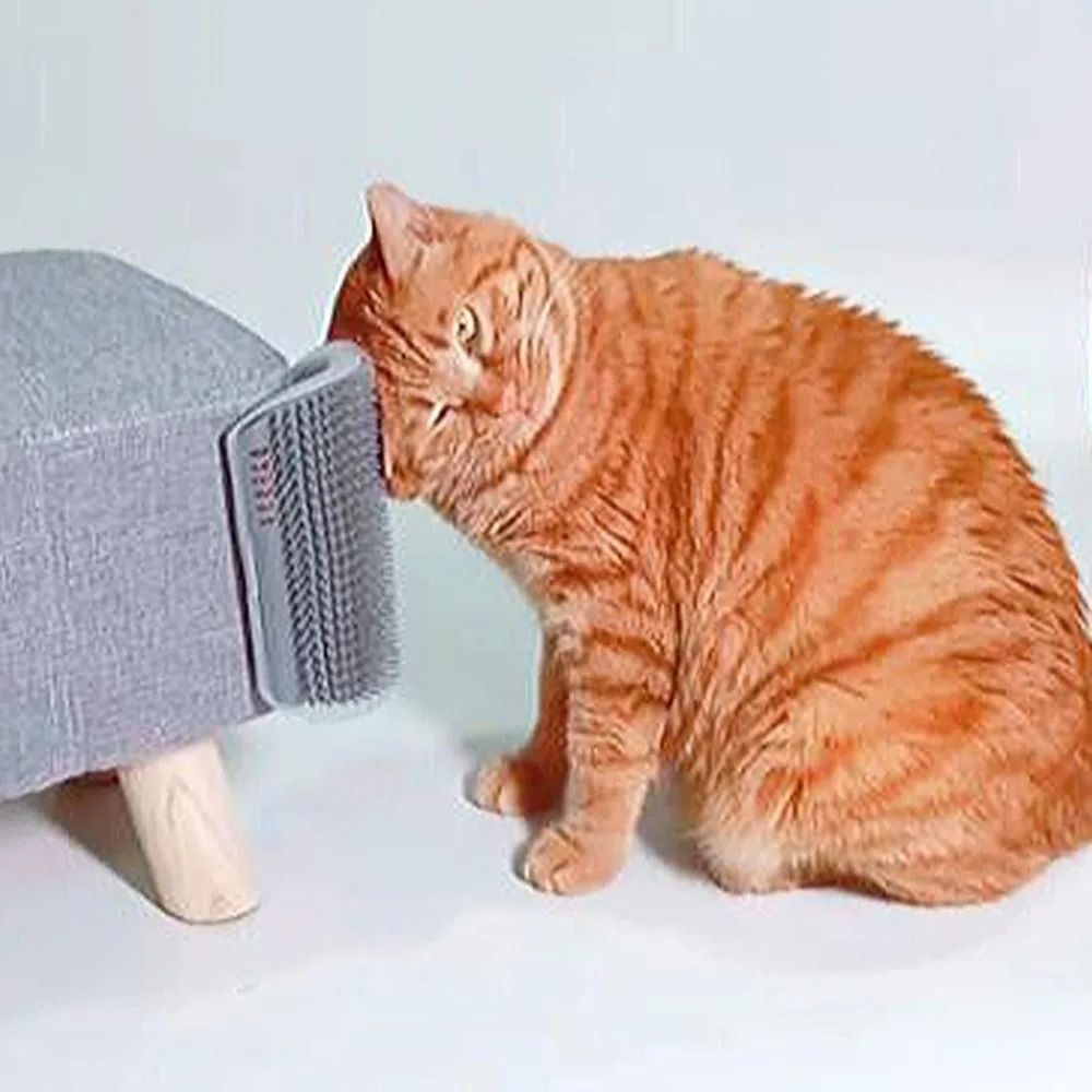Self Grooming Cat Corner Scratcher Massage Comb With Catnip 0