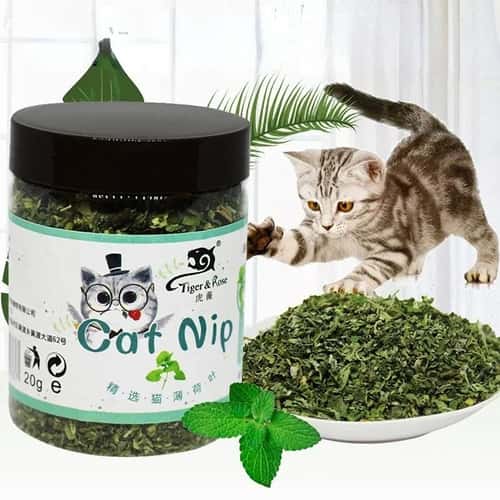 Organic Natural Catnip Mint Grass Interactive Cat Toy