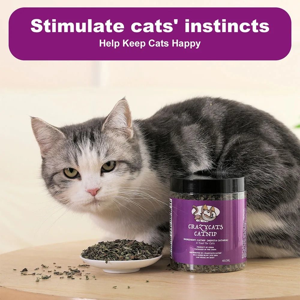 Natural Pure Catnip Interactive Toy For Cats 4
