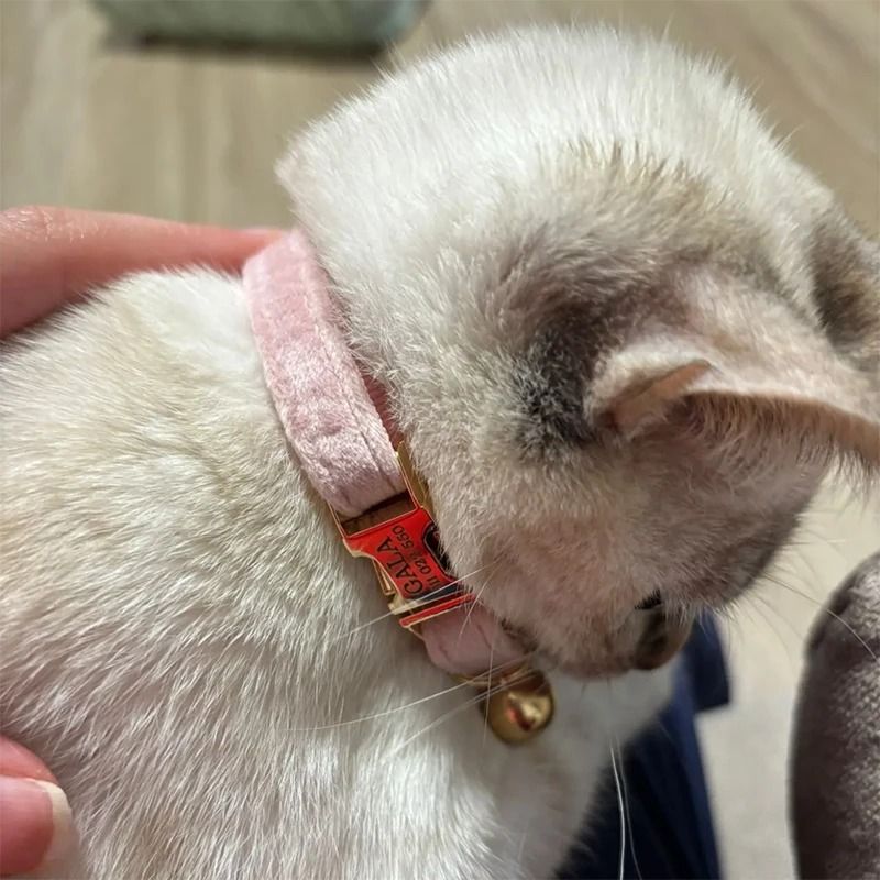 Adjustable Cat Collar With Bow Tie Engraveable Safety Buckle And Comfortable Fit 28