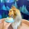 Pet Lick Mat Slow Feeder Interactive Snack Bowl For Dogs And Cats Dental Care Training Toy 9