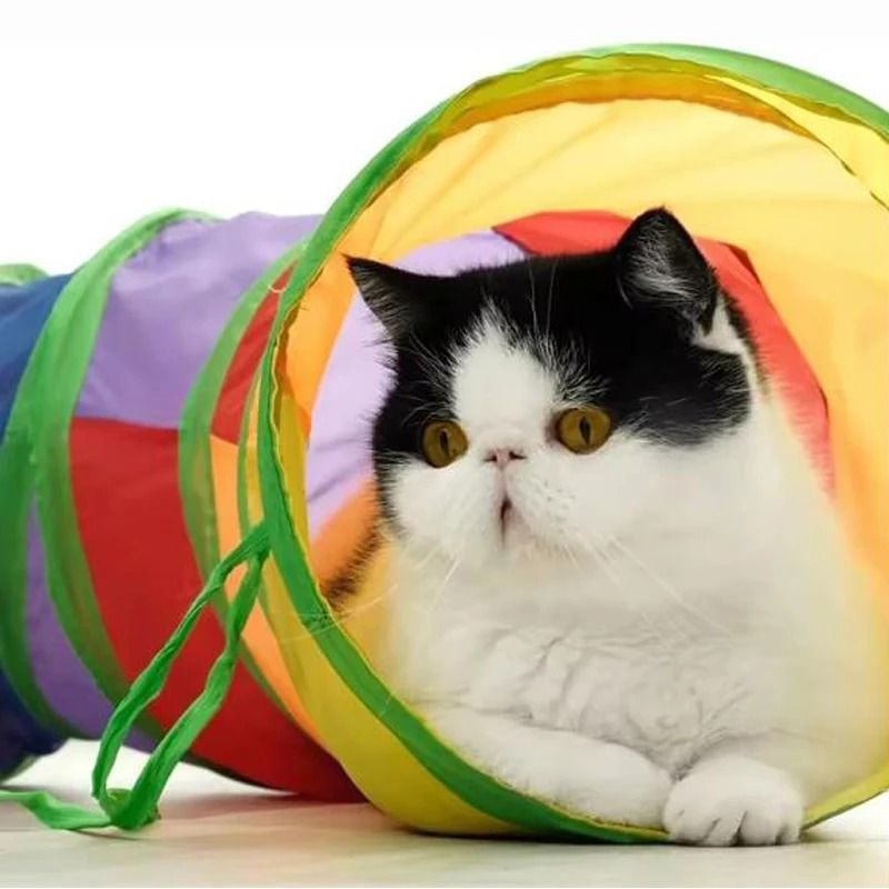 Collapsible Cat Tunnel Play Tube Interactive Indoor Outdoor Toy For Cats And Puppies 5