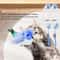 Retractable Hanging Door Cat Toy Automatic Interactive Kitten Exercise Toy For Independent Play 6