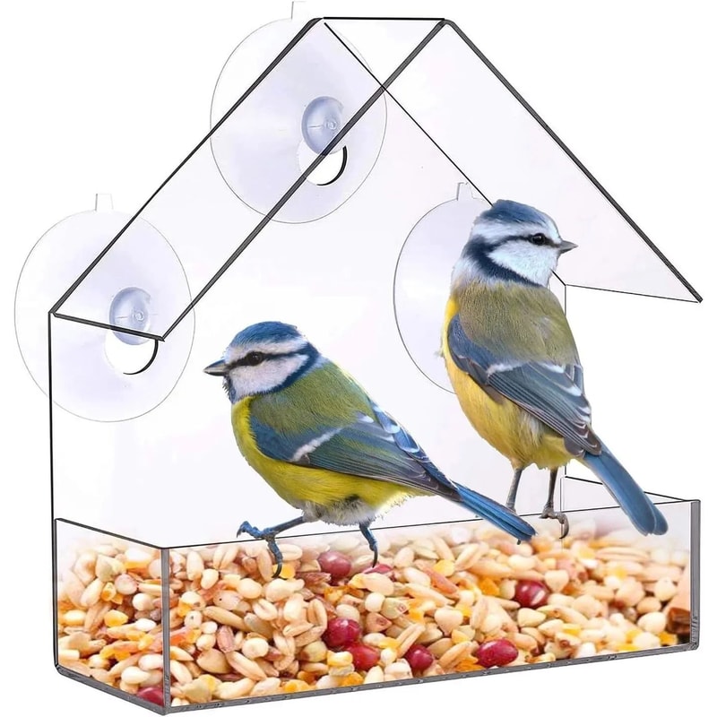 Clear Acrylic Window Bird Feeder Hanging Outdoor Bird House With Suction Cups 3