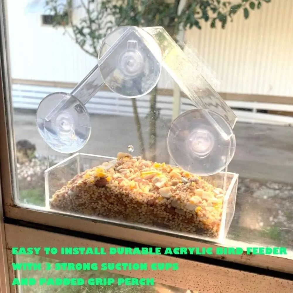 Clear Acrylic Window Bird Feeder Hanging Outdoor Bird House With Suction Cups 4