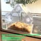 Clear Acrylic Window Bird Feeder Hanging Outdoor Bird House With Suction Cups 4