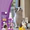 Pet Calming Spray For Cats And Dogs Pheromone Anxiety Relief And Emotional Soothing Spray 60ml 4
