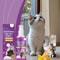 Pet Calming Spray For Cats And Dogs Pheromone Anxiety Relief And Emotional Soothing Spray 60ml 4