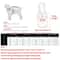 Waterproof Winter Pet Hoodie Jacket Warm Fleece Cat And Small Dog Coat With D Ring 5