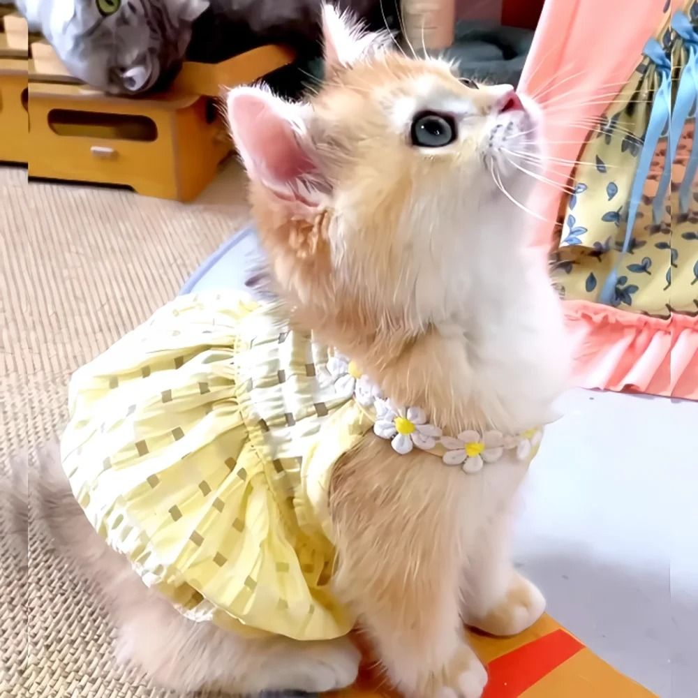 Summer Floral Pet Princess Dress Breathable Small Dog And Cat Skirt With Wreath Collar 2