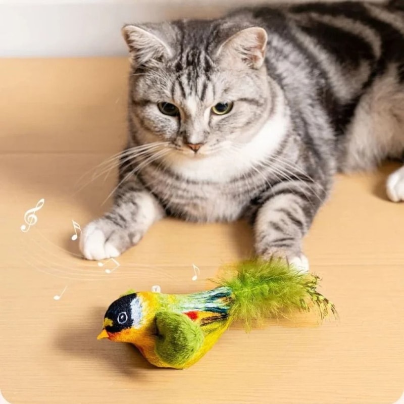 Interactive Bird Cat Teaser Toy With Catnip Sounding Wall Hanging Chasing Toy For Indoor Cats 5