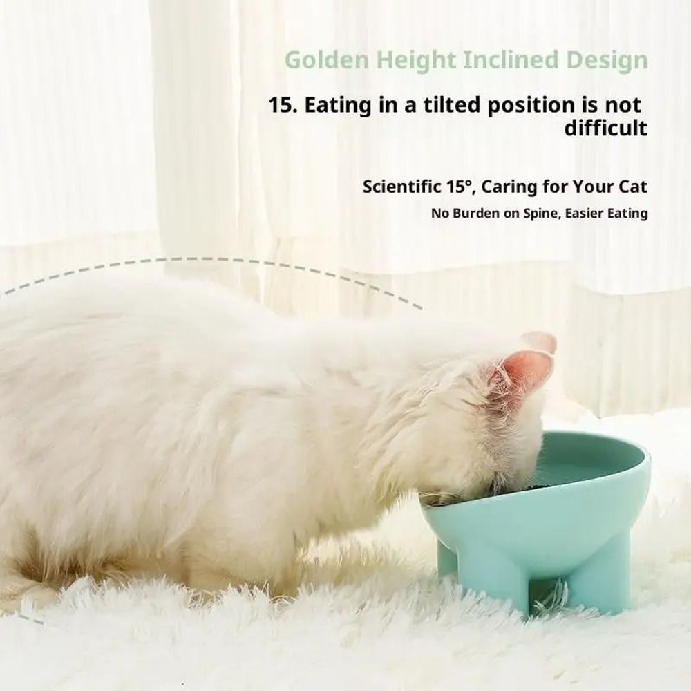 Elevated Cat Bowl With Stand Neck Friendly Pet Food And Water Dish For Cats And Dogs 6